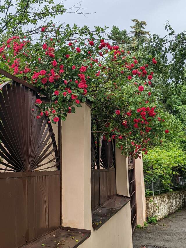 Гостиница Дали Кисловодск-46