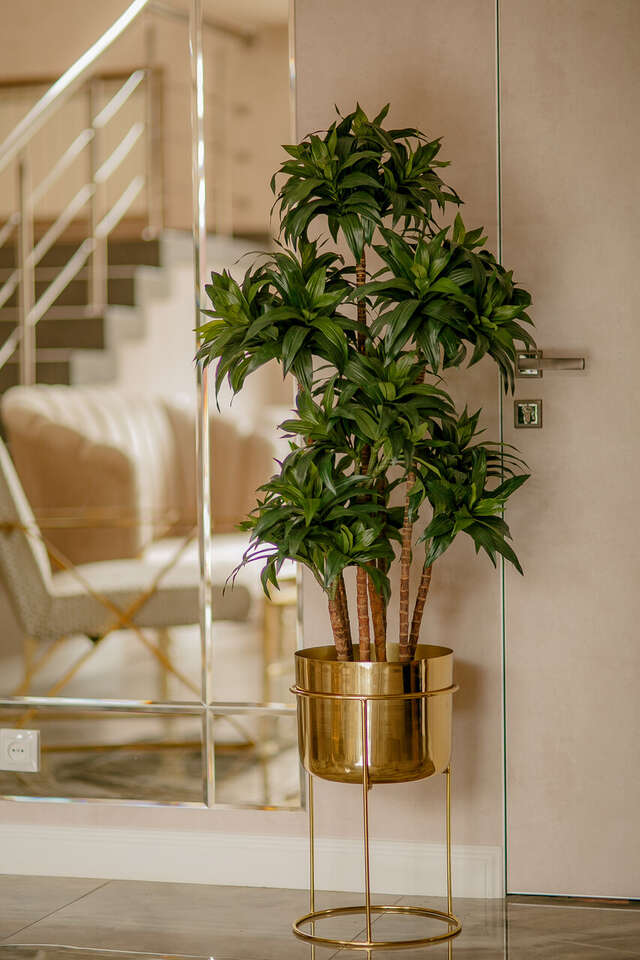 Гостиница Дали Кисловодск-21